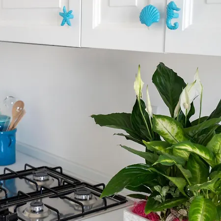 Nyaraló Dimora Le Dune A 100 Mt Dal Mare