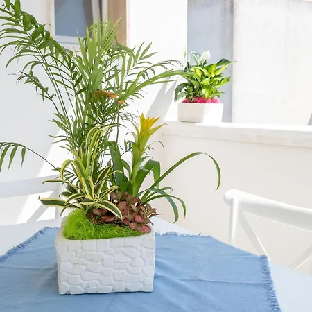 Dimora Le Dune A 100 Mt Dal Mare Vakantiehuis *