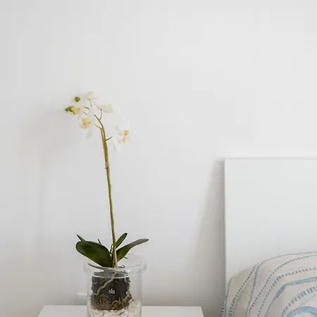 Dimora Le Dune A 100 Mt Dal Mare Vakantiehuis